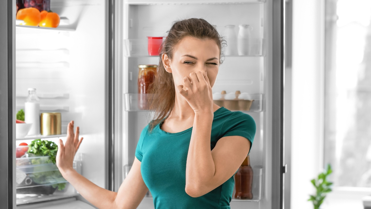 Refrigerator Maintenance